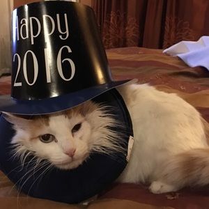 Meet your Posher, Esther